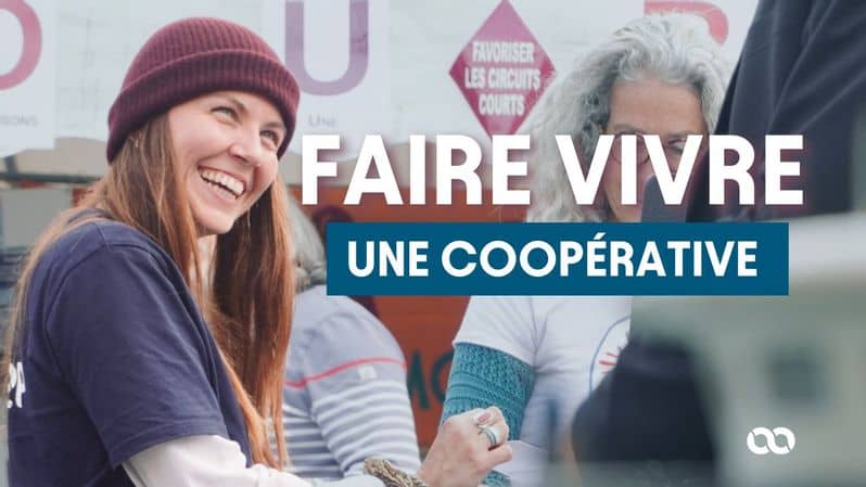 Miniature Windcoop (1)