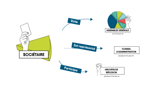 Role du sociétaire Windcoop